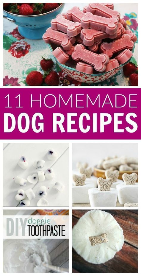 DIY Homemade Dog Recipes! Pamper your Puppy Pets with these simple and easy recipes for dog shampoo, snacks, treats, toys, freshener, odor remover, and more! #lemonpeony #dog #recipes #snacks #treats #frozen #fresh #homemade Homemade Dog Cookies, Dog Biscuit Recipes, Easy Dog Treats, Healthy Dog Treats Homemade, Dog Treats Homemade Recipes, Frozen Dog, Recipes Snacks, Food Dog, Diy Dog Treats