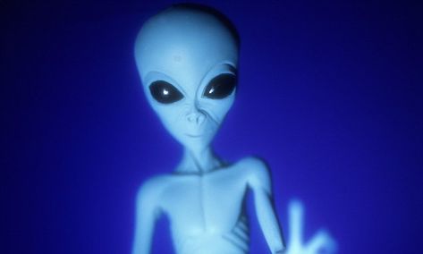 Alien life forms may already be extinct on the majority of planets Blue Alien, Alien Life Forms, Alien Aesthetic, Alien Abduction, Space Aliens, Aliens And Ufos, Chinese Man, Ufo Sighting, Across The Universe