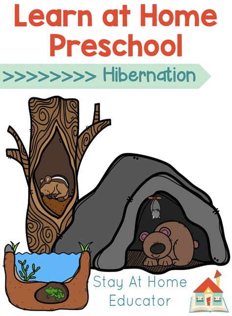 Hibernating Animals Preschool, Hibernation Preschool Theme, Preschool Hibernation, Hibernation Preschool Crafts, Themes Preschool, Hibernation Preschool Activities, Hibernation Crafts, Hibernation Preschool, Lesson Plans For Preschool