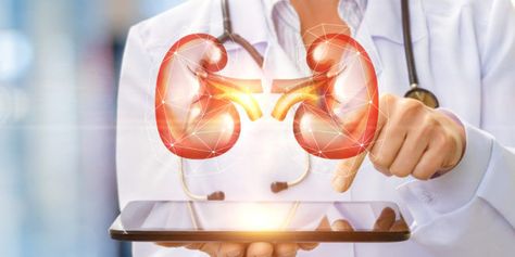 Chittagong Urology General Hospital Human Kidney, Doctor Shows, Kidney Damage, Kidney Health, Best Hospitals, A Doctor, Vitamin D, Surgery, Medical