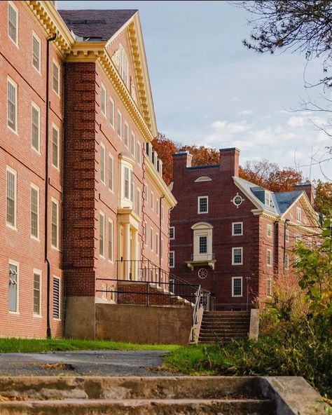 Amherst College Aesthetic, College Pic, Romanticizing College, Umass Amherst, University Of Massachusetts Amherst, Camping In The Woods, The Lovely Bones, College List, University Of Massachusetts