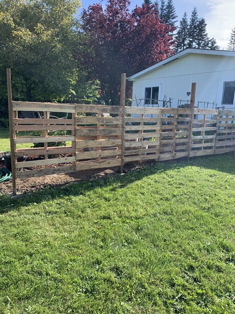 Wind Break For Garden, Fence Diy Ideas, Wind Break Garden, Cheap Diy Fence, Diy Fence Ideas, Garden Landscaping Design, Farmhouse Backyard, Garden Goals, Rustic Fence