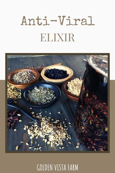 Learn to make your own homemade antiviral elixir with herbs. Wonderful for staying healthy! Medicinal Herbs Remedies, Elixir Recipe, Diy Medicine, Herbal Education, Smoothie Bowl Healthy, Herbal Elixir, Diy Snacks, Magic Herbs, Herbal Tinctures