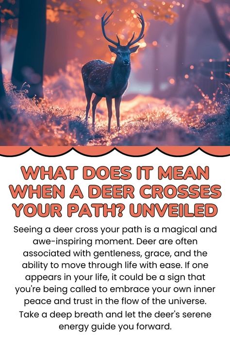 A deer crossing your path meaning Deer Symbolism Meaning, Stag Spirit Animal, Deer Symbolism, Spiritual Meaning Of Seeing Deer, Animals And Their Spiritual Meanings, Witchy Business, Spirit Animal Meaning, Deer Crossing, Animal Meanings