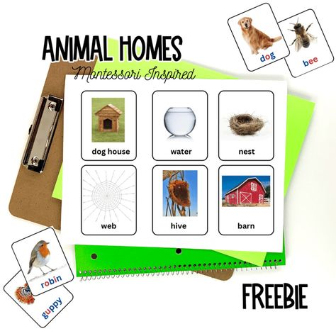 Animal Homes montero Inspired printable Preschool Construction, Animal Homes, Dinosaur Printables, Animal Home, Beginning Sound, Preschool At Home, Busy Toddler, Home Activities, Montessori Activities