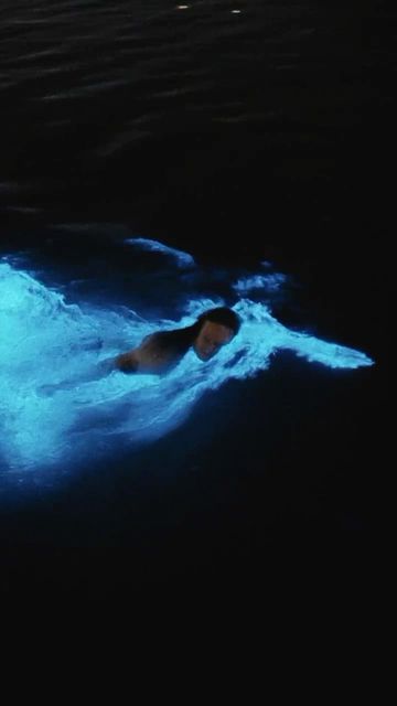 Justin Buzzi on Instagram: "Cross this off your bucket list ✅ swimming in bioluminescence is a WILD experience. Tag someone adventurous enough to take a splash in the bio! 🌌🏊‍♂️" Experiences Aesthetic, Blue Light Aesthetic, Bioluminescence Aesthetic, Biolumenesent Beach, Bio Luminescence, Bio Illuminance Water, Bioluminescence Water, Bio Luminescence Beach, Bioluminescent Ocean