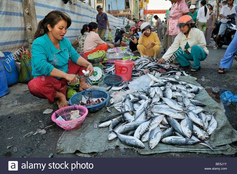 Download this stock image: Woman on the fish market, Vinh Longh, Mekong Delta, Vietnam, Asia - BE5J1Y from Alamy's library of millions of high resolution stock photos, illustrations and vectors. Market Scene Drawing, Market Scene Drawing Easy, Daily Dozen, Market Scene, Stone Town, Scene Drawing, Stock Photos Woman, Family Picture Outfits, Fish Market