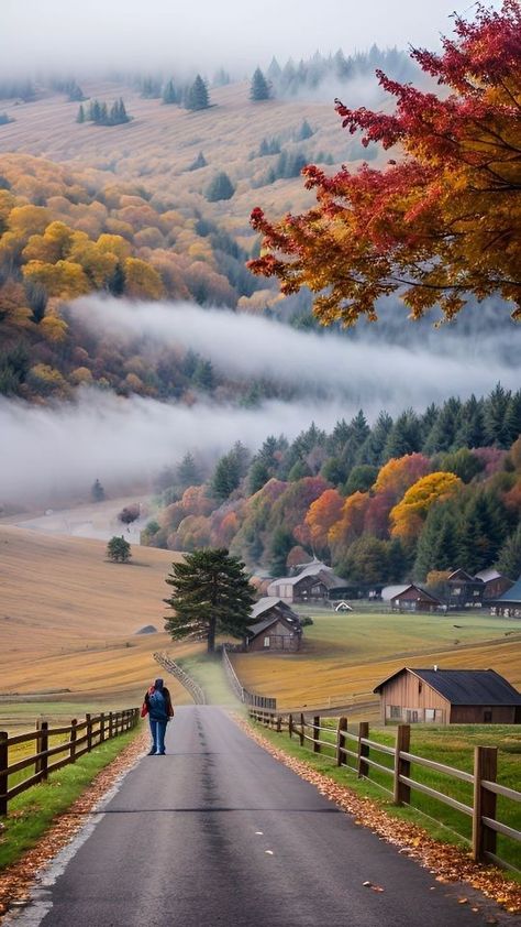 İmagine Halloween Facts, Hello November, Carpathian Mountains, Nature Camping, Sore Eyes, Autumn Scenes, Moon Photography, Beautiful Pics, Autumn Scenery