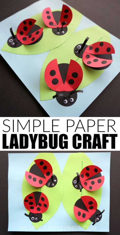 How to Make a Paper Ladybug Craft! A fun and colorful craft for preschool and kindergarten kids to make this spring during a bug or garden unit! #ladybugCrafts #spingCraftsForKids Paper Ladybug Craft, Paper Ladybug, Insect Craft, Ladybug Craft, Ladybug Wings, Garden Crafts For Kids, Insect Crafts, Ladybug Crafts, Bug Crafts