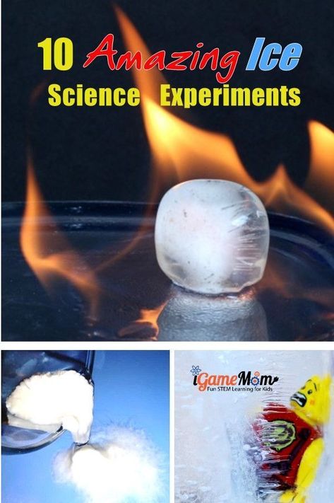 Amazing ice science experiments that your kids will ask for more! Grow instant hot ice, dry ice bubble, ice melting with salt, ... Especially love the one that you also get to eat some! Cool STEM learning activities for winter or summer for kids from preschool to school age Summer Science Experiments, Vetenskapliga Experiment, Science Demonstrations, Amazing Science Experiments, Winter Science, Summer Science, Education Positive, Kid Experiments, Science Activities For Kids