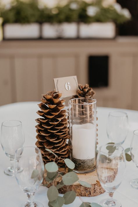 Simple forest woodland pinecone log wedding centerpiece at Black Butte Ranch in Oregon Pine Tree Party Decor, Wedding Center Piece Ideas Fall, Mountain Themed Wedding Centerpieces, Pinecone Wedding Centerpiece, Pinecone Wedding Decor, Pinecone Table Centerpieces, Winter Forest Wedding Decor, Pine Tree Wedding Decor, Pinecone Centerpiece Wedding