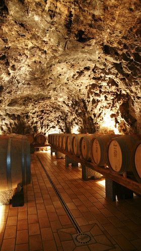 Marisa Cuomo Wine Cave Art Du Vin, Cave Design, Wine Cave, Speak Easy, Chianti Classico, Wine Vineyards, Wine Cellar Design, Cellar Design, Wine Barrels