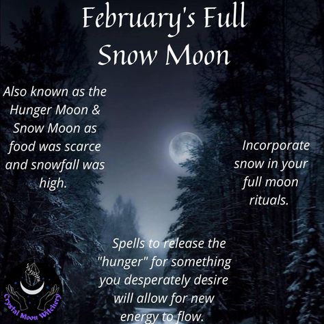 Snow Moon 2023, Snow Moon Ritual, February Snow Moon, February Magick, February Moon, Witchy Wellness, Full Snow Moon, February Full Moon, Pagan Life