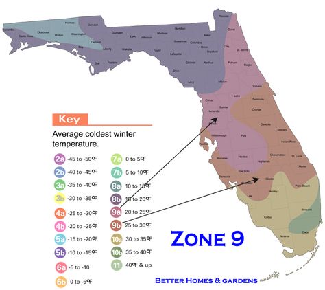 Florida hardiness zone map Florida Cities, Homestead Florida, Florida Flowers, Florida Native Plants, Florida Landscaping, Florida Plants, Florida Gardening, Gardening Zones, Zone 9