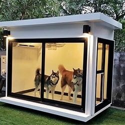 Amazing Dog Houses, Dog House Outdoor, Modern Dog Houses, Cool Dog Houses, Healthy Dog Treats Homemade, Dog Playground, Pet Enclosure, Dog House Diy, House Outdoor