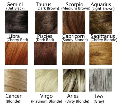 Zodiac Sign Fashion, Signs Horoscope, Zodiac Signs Chart, Scorpio Zodiac Facts, Nose Shapes, Zodiac Signs Pisces, Zodiac Stuff, Zodiac Signs Horoscope, Earth Signs