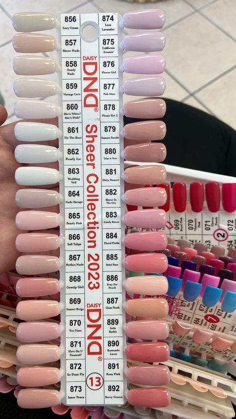 Paris Gel Nail Colors, Dnd Gel French Manicure, Dnd White Pink Color, Dnd Vintage Lace Gel Polish, Neutral Nails Dnd Gel, Dnd Summer Colors 2024, Dnd Gel Polish Colors Neutral, Dnd Nude Colors, Dnd Swatches