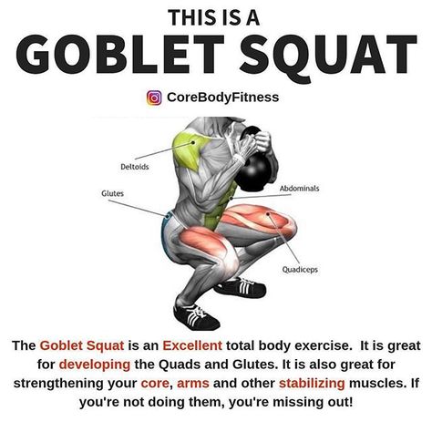 Why not try the goblet this weekend?  Stay strong and move a lot! Make entire body move one way or another!    do I love them! Not only to they target your quads and glutes...They are also really great for strengthening your core and even arms. They help with balance and mobility as well.  Follow @kwaris100 for more Credits: @CoreBodyFitness    #topgymtips #irishfitfam #ifitfitsyourmacros #caloriecounting #myfitnesspal #weightlossdiary #liftingweights #fitlife #getshredded #shreddedlife #pumping Gym Bodies, Squats Muscles Worked, Workout Types, Bulgarian Bag, Kettle Ball, Kettlebell Cardio, Kettlebell Circuit, Glute Workouts, Kettlebell Workouts