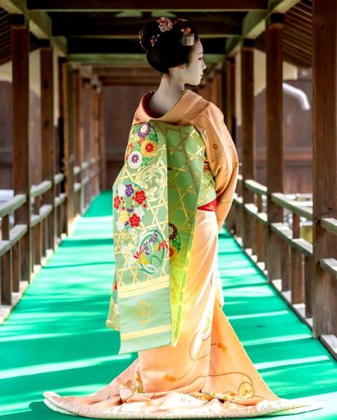 Geisha Dress Traditional Kimono, Geisha Kimono Traditional, Mononoke Anime, Kimono Geisha, Geisha Kimono, Japanese Culture Art, Japanese Traditional Clothes, Japanese Traditional Clothing, Traditional Japanese Kimono