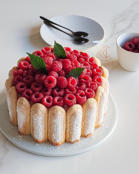 Charlotte framboises sans cuisson - Mes Délicieuses Créations Vegan Mascarpone, Charlotte Recipe, Raspberry Charlotte, Vegan Heavy Cream, Simple Vegan Recipes, Vegan No Bake, Condensed Coconut Milk, Charlotte Cake, Frozen Raspberries