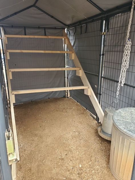 Dog Run Chicken Coop, Chicken Coop Dog Kennel, Dog Kennel Chicken Coop, Kennel Chicken Coop, Chicken Enclosure, Chicken Brooder, Chicken Roost, Walk In Chicken Coop, Build A Dog House