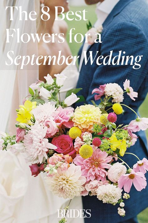 September Seasonal Flowers, September Wedding Flowers Uk, Early September Wedding Flowers, September Wedding Flowers In Season Bridal Bouquets, Late September Wedding Flowers, Late Summer Wedding Palette, September Florals Wedding, Wedding Themes September, Flowers In Season In September