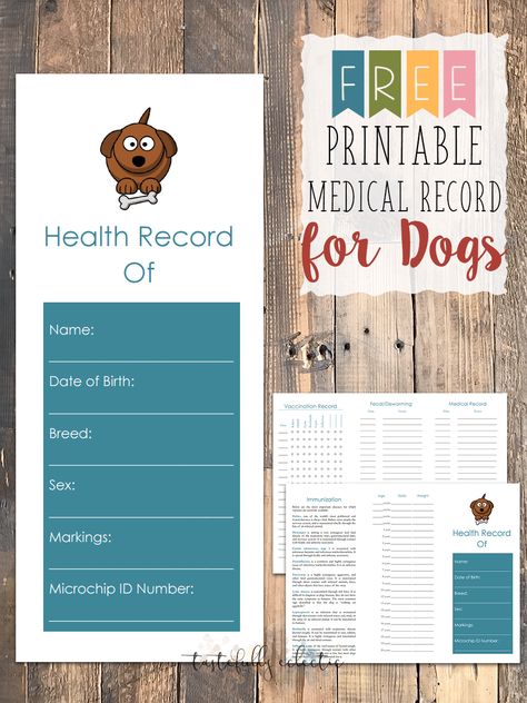 Free Prinable Medical Record for Dogs Pet Care Printables, Record Template, Pet Health Record, Health History Form, Health Record, Dog Shots, Medication For Dogs, Sunflower Wallpaper, Medical Records