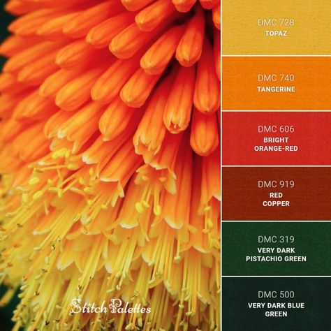 Colour and Stitch Palettes | Embroidery Colours - Colour Complements