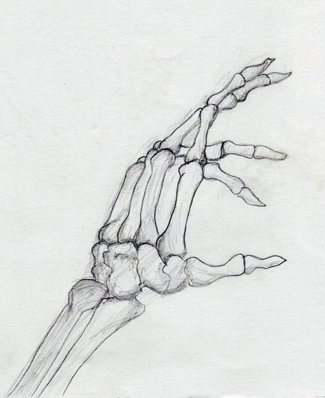 Skeleton Hand Side View, Drawing Of Skeleton Hand, Skeloten Hand Drawing, Skeleton Hand Art Drawings, Skeleton Hand Reaching Out, How To Draw Skeleton Hands, Skeleton Hand Drawing On Paper, Scelotin Hand Drawing, Old Hands Drawing