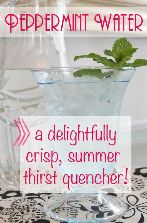 Peppermint Water: What a deliciously refreshing summer thirst quencher! Peppermint Water, Mocktail Ideas, Summer Mocktail, Drinks Summer, Peppermint Extract, Drinks Party, Diet Soda, Ice Water, Sweet Drinks