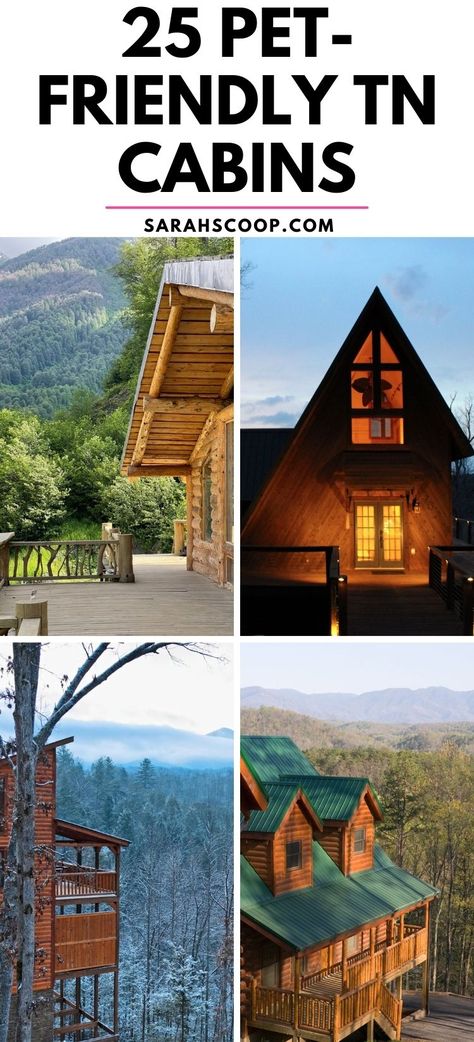 🌲🐾 Explore 25 pet-friendly cabins in Tennessee's serene Smoky Mountains! Unforgettable adventures and comfort for all. 🏞️ #PetFriendlyTravel #SmokyMountains #CabinLife" Tennessee Cabins, Mountain Destinations, Here's The Scoop, Great Smoky Mountains National Park, A Cabin, Smoky Mountain, Cabin Life, Pigeon Forge, Cabin Rentals