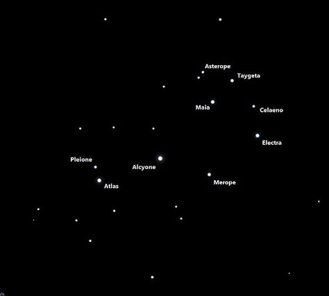 pleyades pleiades stars constellation Star Constellations, Astronomer, Constellations, Stars