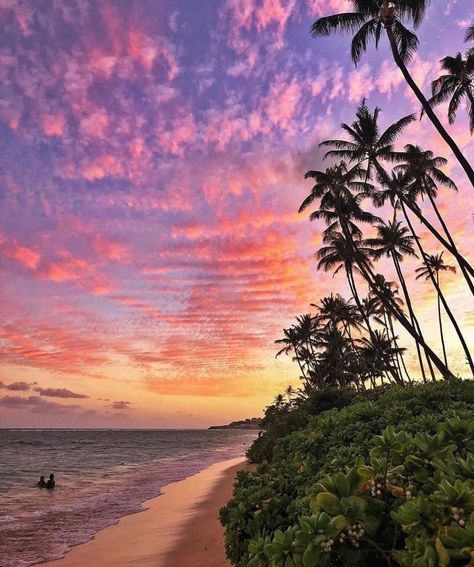 Tourism Hawaii’s Instagram profile post: “Look up when the world gets you down.⁠ Oahu, Hawaii⁠ Photo by @kurtstevensphotography⁠ ⁠ #nakedhawaii #Hawaii #beautifuldestinations…” Luxe Couple, Sunsets Hawaii, Hawaii Adventures, Hawaii Destinations, Croatia Holiday, Wedding Destinations, Visit Hawaii, Beautiful Scenery Pictures, Hawaiian Culture