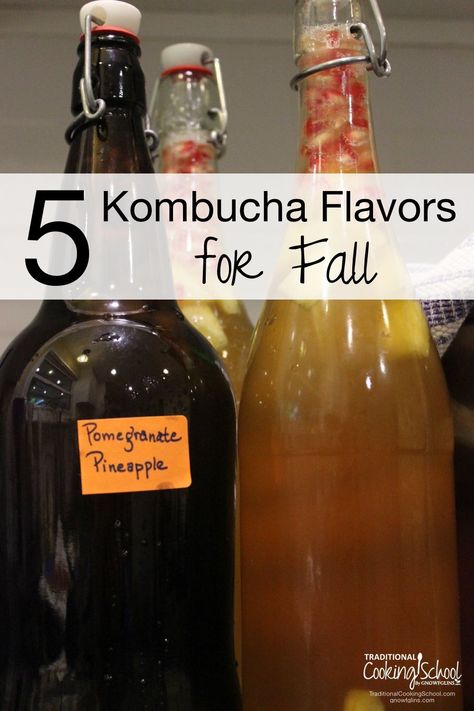 Homemade Kumbacha, Kombucha Flavours, Pear Kombucha, Heathy Drinks, Fermented Beverages, Making Kombucha, Ginger Kombucha, Kombucha Recipes, Kombucha Flavors