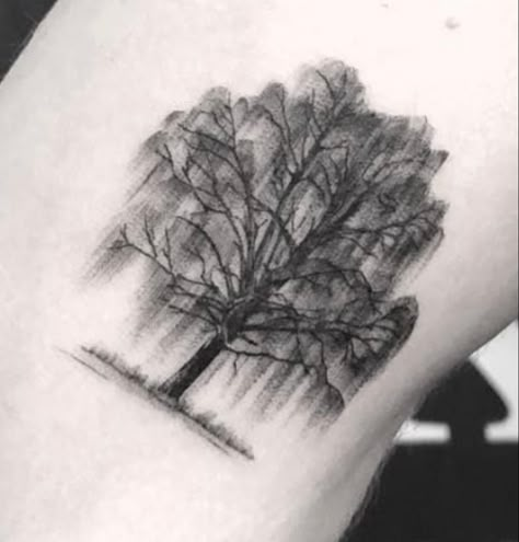 Weeping Willow Tattoo, Willow Tree Tattoo, Tree Tattoo Back, Willow Tree Tattoos, Basic Tattoos, Animal Tattoo Ideas, Funky Tattoos, Wildflower Tattoo, Tree Tattoo Designs