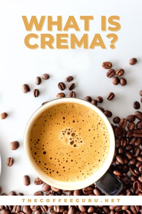 What Is Crema? - The Coffee Guru. Crema is the delicious, fragrant, ruddy earthy coloured foam that lays over top of a cup of coffee, usually on a shot of espresso. Coffee crema is formed when air bubbles are mixed with the oils of the coffee. People often allude to this creation as the “Guinness Impact” since it emulates the head of a poured Irish stout. #coffee #coffeedrinks #coffeecrema #crema #coffeerecipes #coffeeblog Barista Recipe, Coffee Counter, Coffee Brewing Methods, Shot Of Espresso, Coffee Board, Coffee Hacks, Coffee Blog, Coffee Facts, Coffee Today