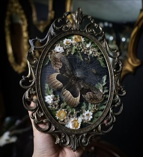 Goth moth frame 2.0 Available on May 10th at 6pm PST! Siberian Owl Moth, real preserved orb weaver web, honeybees, and dried florals in a vintage frame. Goth Taxidermy, Moth Frame, Taxidermy Moth, Butterfly Pinning, Diaphonized Specimens, Oddities Art, Moth Taxidermy, Owl Moth, Goth Moth