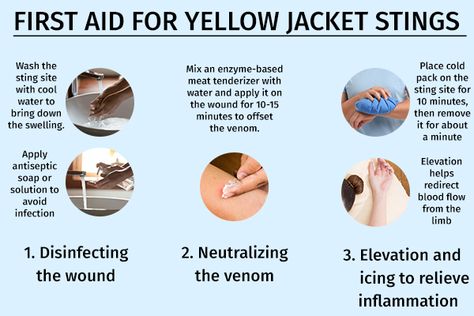 first aid for yellow jacket stings Bee Sting Remedy, Bee Sting Relief, Wasp Sting Remedy, Natural Itch Relief, Yellow Jacket Bee, Remedies For Bee Stings, Itch Relief Skin, Sting Relief, Wasp Stings