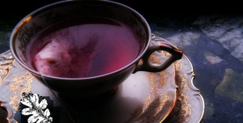 What Is Purple Tea, Why Is It Healthy And Where Can I Get It? Kenyan Tea, Purple Tea, Healthy Pantry, Kinds Of Beans, Tea Varieties, White Tea, Tea Leaves, Tea Lover, Vanilla Bean