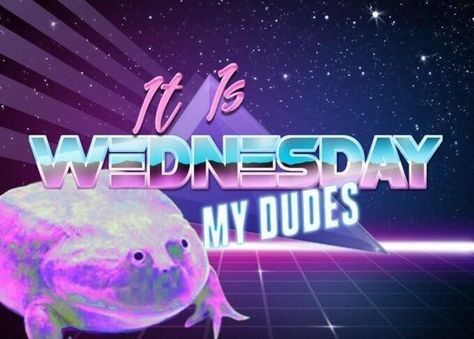 Its Friday My Dudes Frog, It Is Wednesday My Dudes, Famous Memes, Frog Pictures, Meme Maker, Me Irl, Spongebob Funny, Bad Puns, Bad Memes