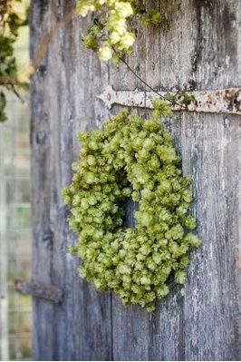 Autumn Green, Succulent Wreath, Deco Nature, Have Inspiration, Green Wreath, Cactus Y Suculentas, Deco Floral, Garden Gates, Beautiful Wreath