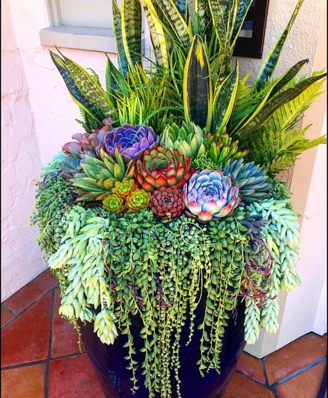 Potted Plants Patio, Succulent Garden Landscape, Succulent Landscape Design, Container Garden Design, Succulent Garden Design, Potted Plants Outdoor, Succulent Landscaping, Succulent Garden Diy, Container Gardening Flowers