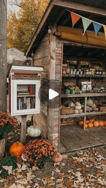 Pumpkin Farm Stand Ideas, Pumpkin Farm Stand, Roadside Farm Stand Ideas, Roadside Stand, Pumpkin Stand, Pumpkin Stands, Farm Living, Pumpkin Farm, Farm Stand