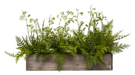 Wall Hanging Mix Fern in Long Wood Box Tree Plan Photoshop, Long Wood Box, Planter Box Designs, Landscape Architecture Graphics, Greek Decor, Urban Design Diagram, Tree Plan, Urban Landscape Design, Hanging Plant Wall