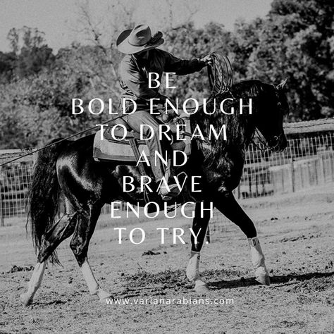 Horse Trainer Quotes, Love Horses Quotes, Royalty Quotes, Horseback Riding Quotes, Horsemanship Quotes, Horse Woman, Climbing Quotes, Rodeo Quotes, Equine Quotes