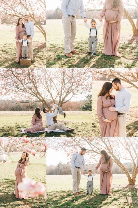 Six images make up this collage from a spring blossom maternity session in West Hartford, Connecticut. Spring Maternity Photoshoot Ideas, Easter Maternity Photoshoot, Maternity Photo Poses With Toddler, Spring Maternity Photos Outfits, Spring Maternity Photos Family, Spring Maternity Photos With Toddler, Early Spring Maternity Pictures, Outdoor Maternity Photos With Toddler, March Maternity Pictures