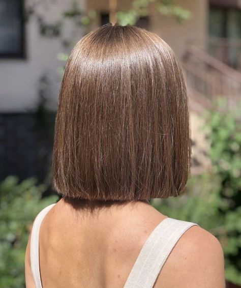 Short Hair Brown, Sleek Short Hair, Short Hair Highlights, Peinados Hair Styles, Trend 2023, Short Brown Hair, Hair Inspiration Short, Hairstyles For Layered Hair, Haircuts Straight Hair