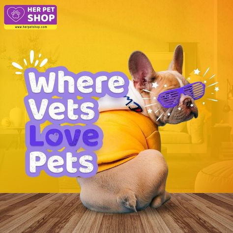 Veterinary care that goes above and beyond for your beloved pets. 🐾✨

Visit : https://herpetshop.com/
Follow for more!!!

#WhereVetsLovePets #VeterinaryCare #PetWellness #CompassionateVets #FurryFriends #AnimalHealth #PetCareExperts #HealthyPets #VetLove #PetHappiness #petlover #pet #dogfashion #petlovers #doglovers #dogclothes #doglife Veterinary Social Media, Dog Food Supplements, Pet Advertising, Pet Branding, Banner Design Inspiration, Food Supplements, Pet Blog, Pet Wellness, Pet Clinic