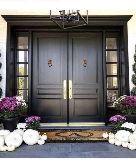 Double Front Entry Doors, Victorian Front Doors, Luxury Living Room Decor, Victorian Door, Double Front Doors, Inside Decor, Entrance Door Design, Wrought Iron Doors, Main Door Design