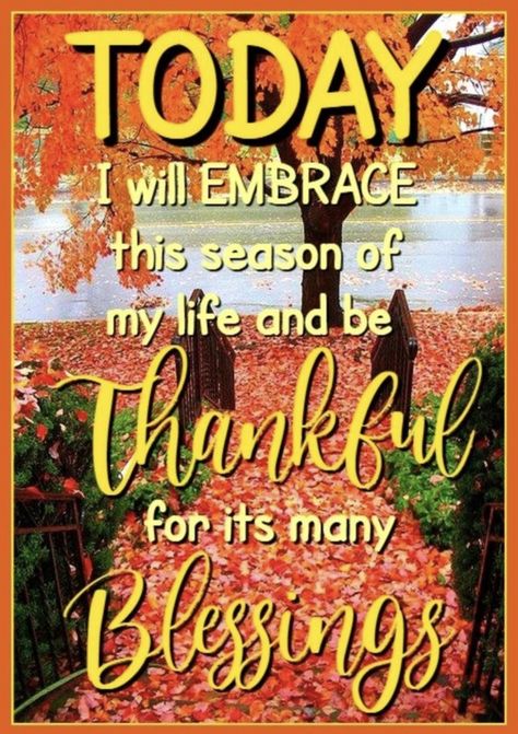 Blessed Good Morning, Blessed Pictures, Happy Thanksgiving Pictures, Simple Thoughts, October Quotes, November Quotes, Praising God, Peace Scripture, Thinking Of You Quotes